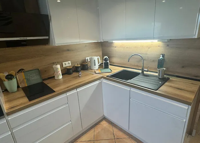 Duplex Proche Port De * Nice