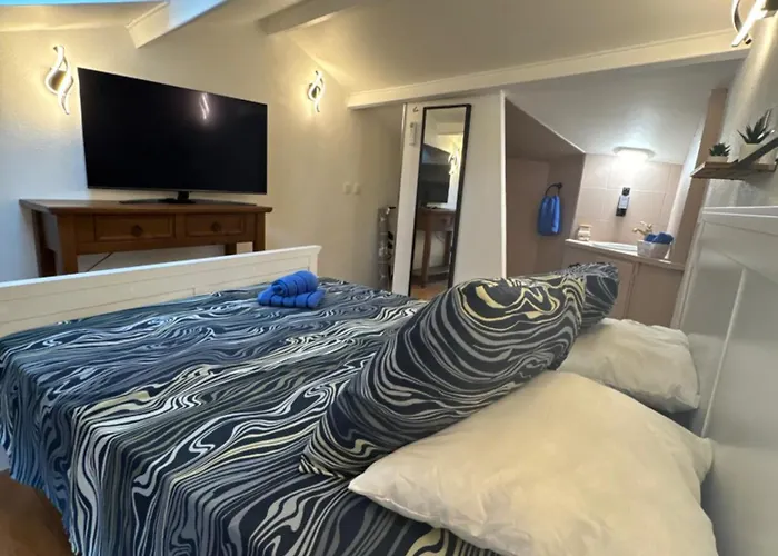 Duplex Proche Port De ניס